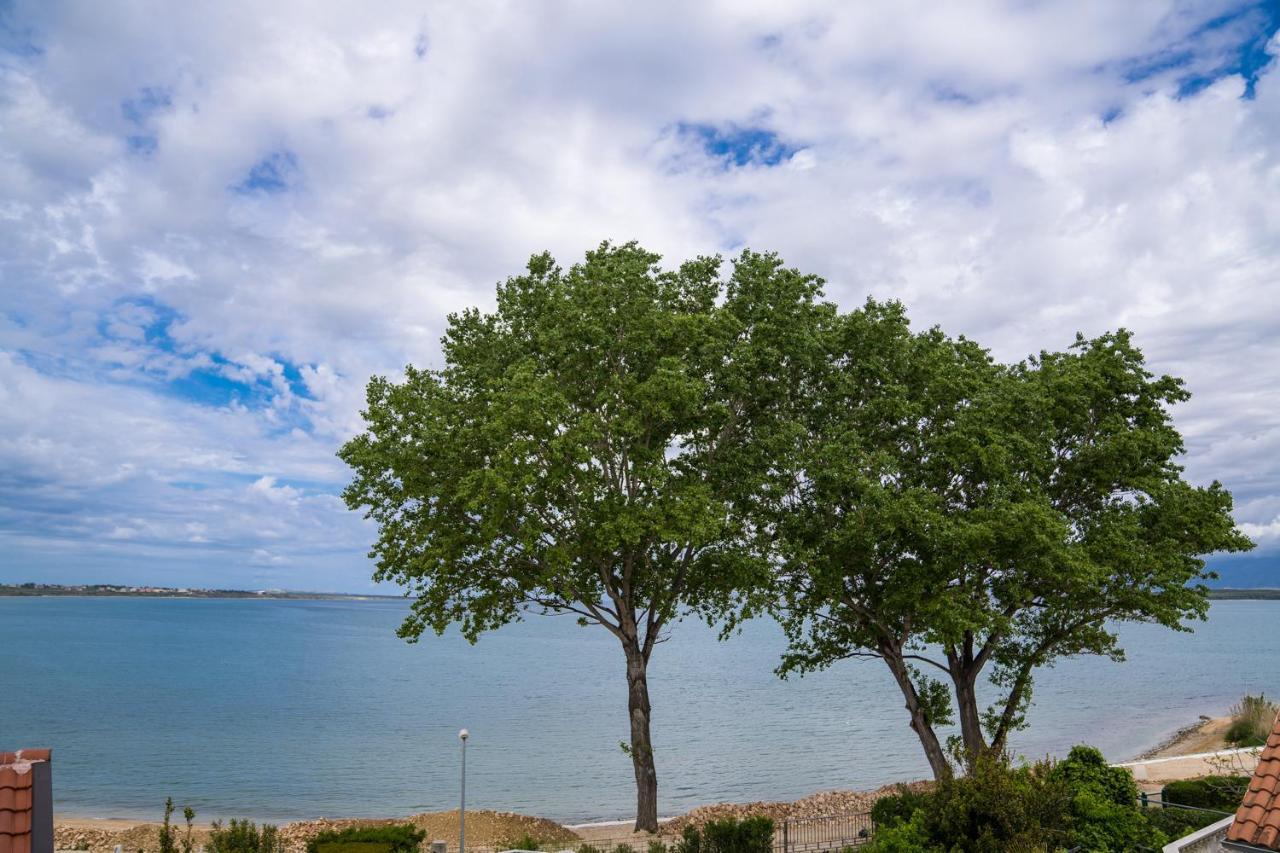 Sunshine Bay Apartman Nin Kültér fotó